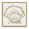 Stupell Industries Clam Shell & Neutral Coral Floating Frame By Yvette St. Amant